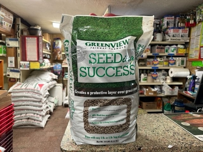 GreenView Seed Success - GreenView Seed Success from Betty's Azalea Ranch