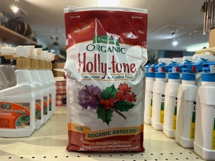 Holly-Tone - Holly-Tone from Betty's Azalea Ranch