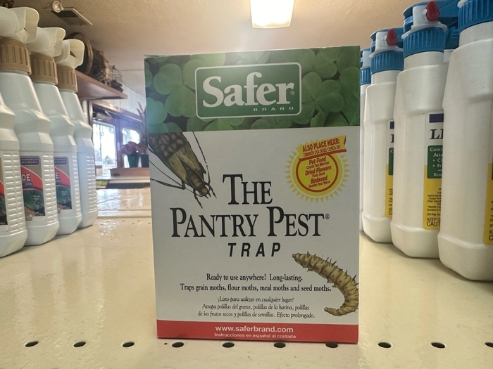 Pantry Pest Trap - Pantry Pest Trap from Betty's Azalea Ranch