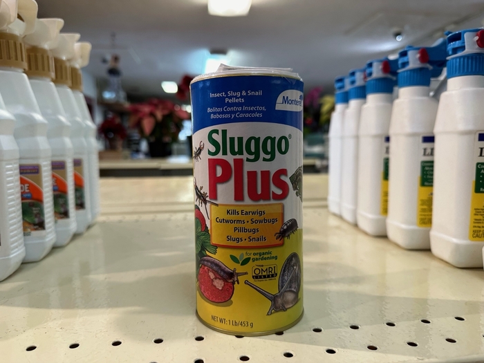 Sluggo Plus - Sluggo Plus from Betty's Azalea Ranch
