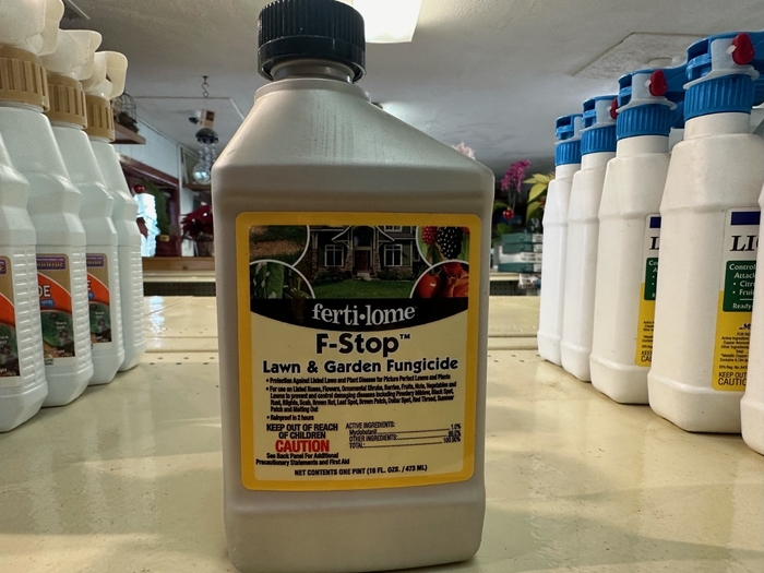 F-Stop Fungicide - F-Stop Fungicide from Betty's Azalea Ranch