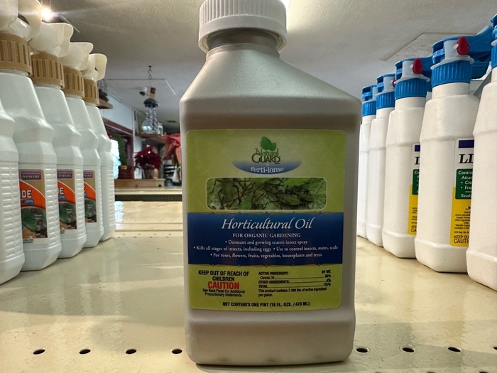 Horticultural Oil - Horticultural Oil from Betty's Azalea Ranch