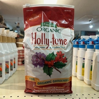 Holly-Tone - Holly-Tone