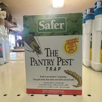 Pantry Pest Trap - Pantry Pest Trap