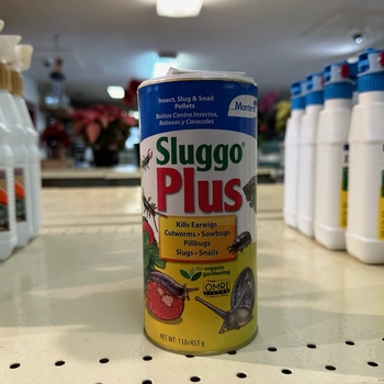 Sluggo Plus - Sluggo Plus