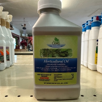 Horticultural Oil - Horticultural Oil