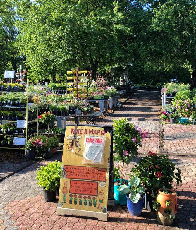 Northern Virginia's Discount Garden Center