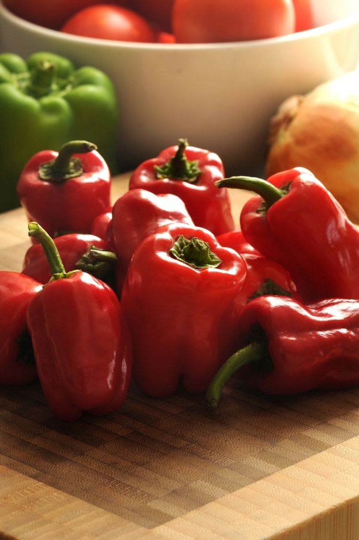 'Cajun Belle' Hot Pepper, Bell Pepper - Capsicum annuum from Betty's Azalea Ranch