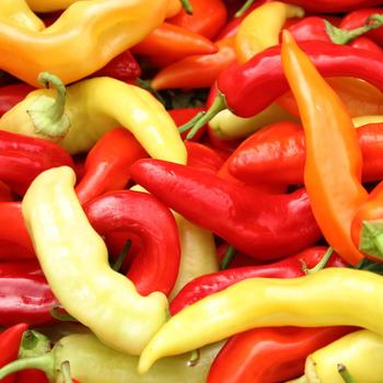 'Sweet Banana' Pepper 'Sweet Banana'